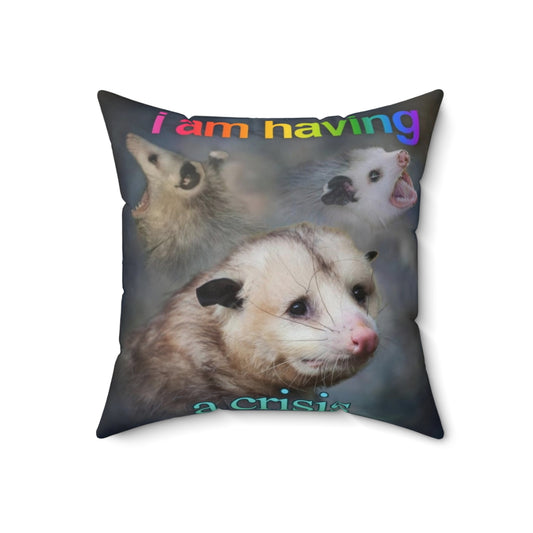 Decorative throw pillow featuring a humorous word art design with an opossum character.