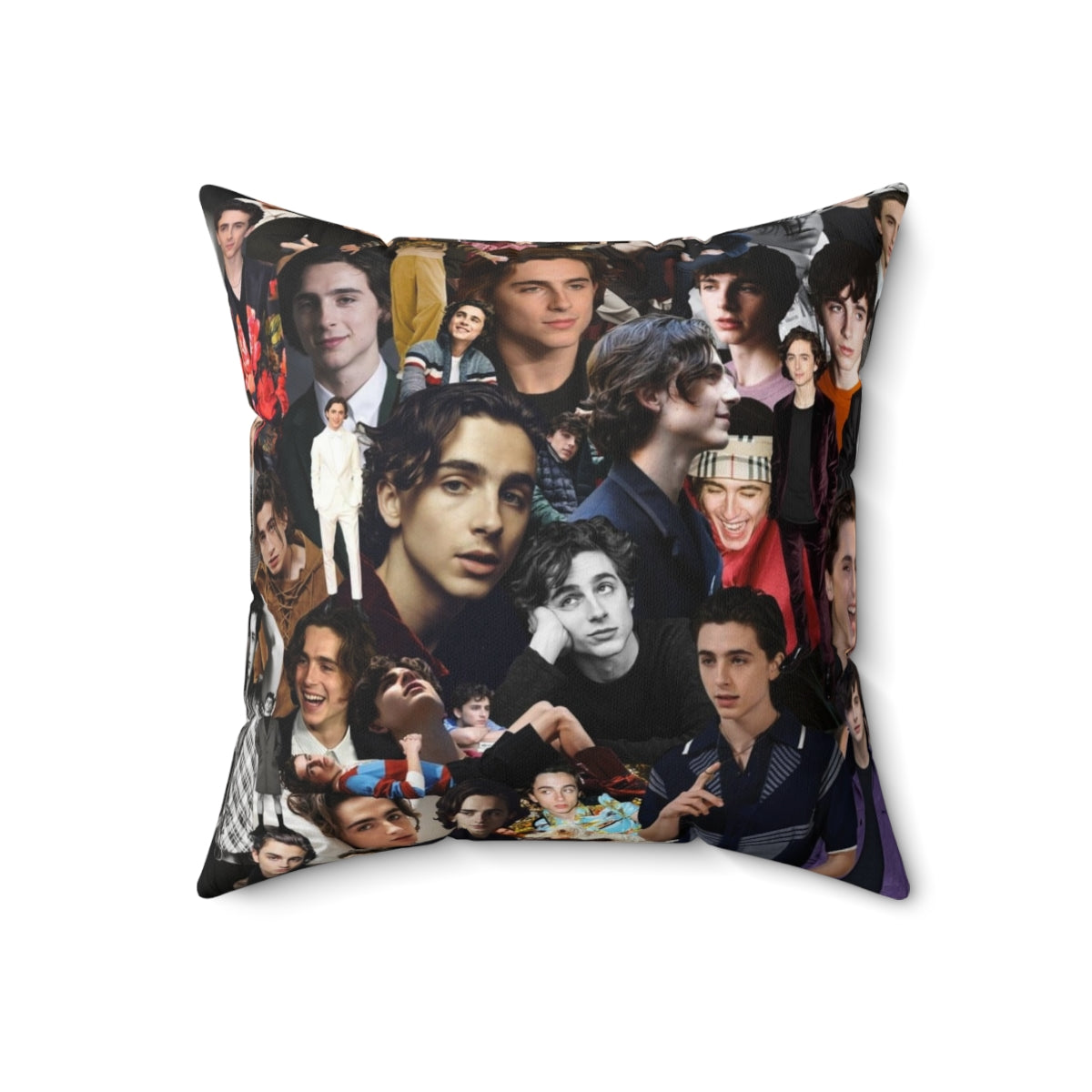 Timothee Chalamet inspired throw pillow with collage design - Back