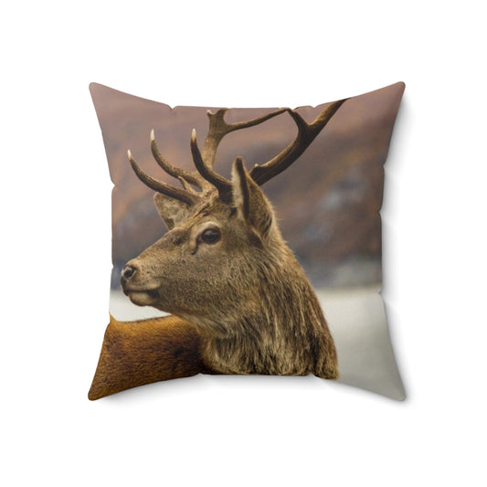 A cozy pillow featuring a stunning red deer stag in the Scottish Highlands