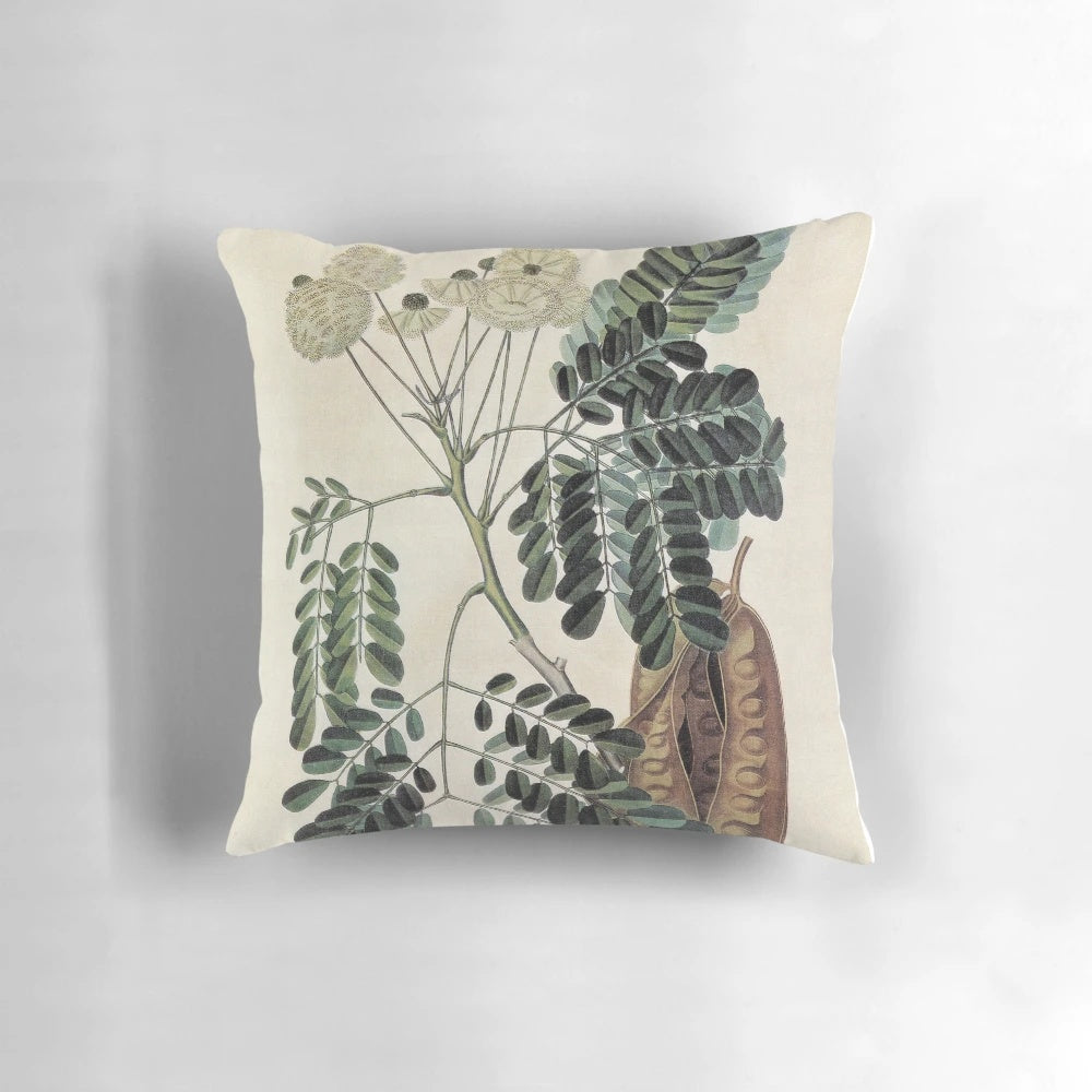 Acacia Vintage Botanical Print Decorative Pillow