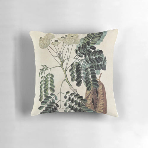 Acacia Vintage Botanical Print Decorative Pillow