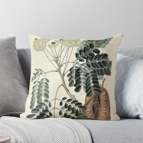 Acacia Vintage Botanical Print Decorative Pillow