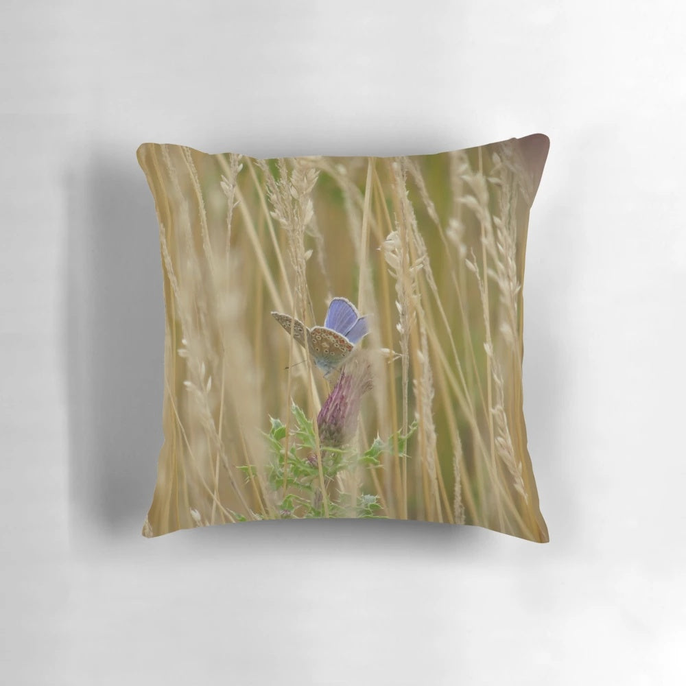 Adonis blue butterfly resting on grass, nature photography pillow