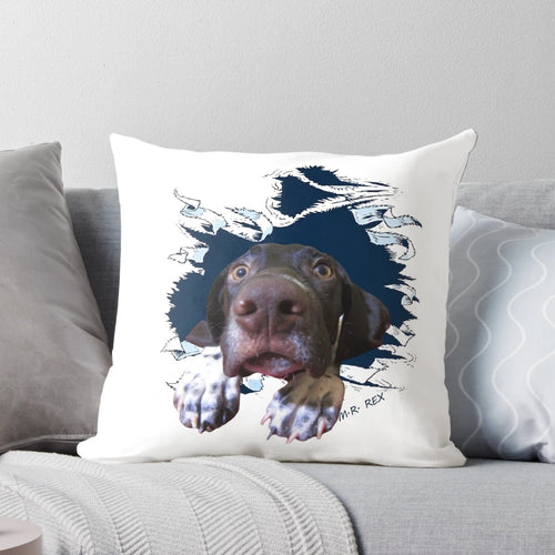 Plush 3D German Shorthaired Pointer Funny Face Pillow