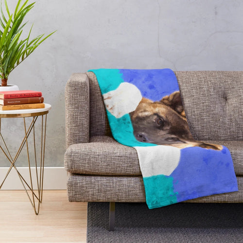 Akita puppy on a plush blanket