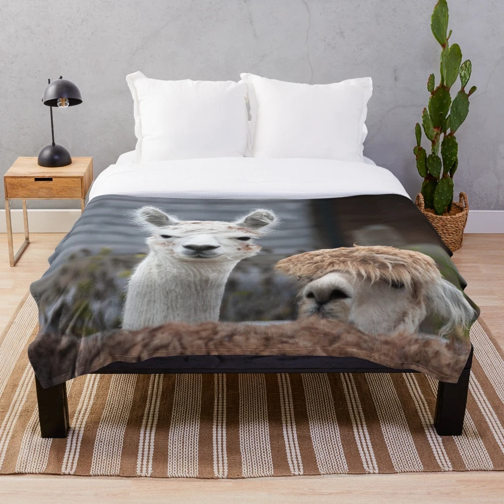 Curious alpacas printed on a soft, cozy plush blanket