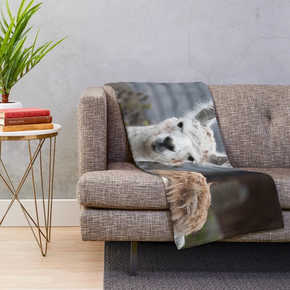 Curious alpacas printed on a soft, cozy plush blanket