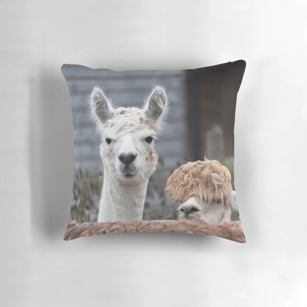 Alpaca themed decorative pillow with a whimsical and charming design featuring curious and playful alpacas.