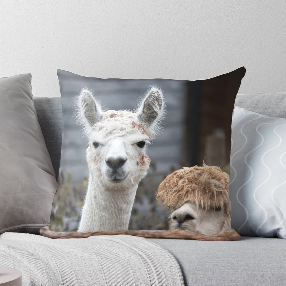 Alpaca themed decorative pillow with a whimsical and charming design featuring curious and playful alpacas.