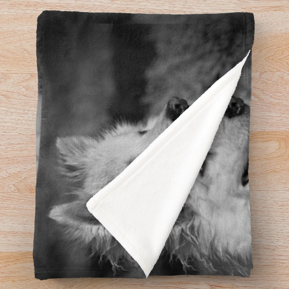 Soft and cozy plush blanket featuring a cute American Eskimo dog portrait