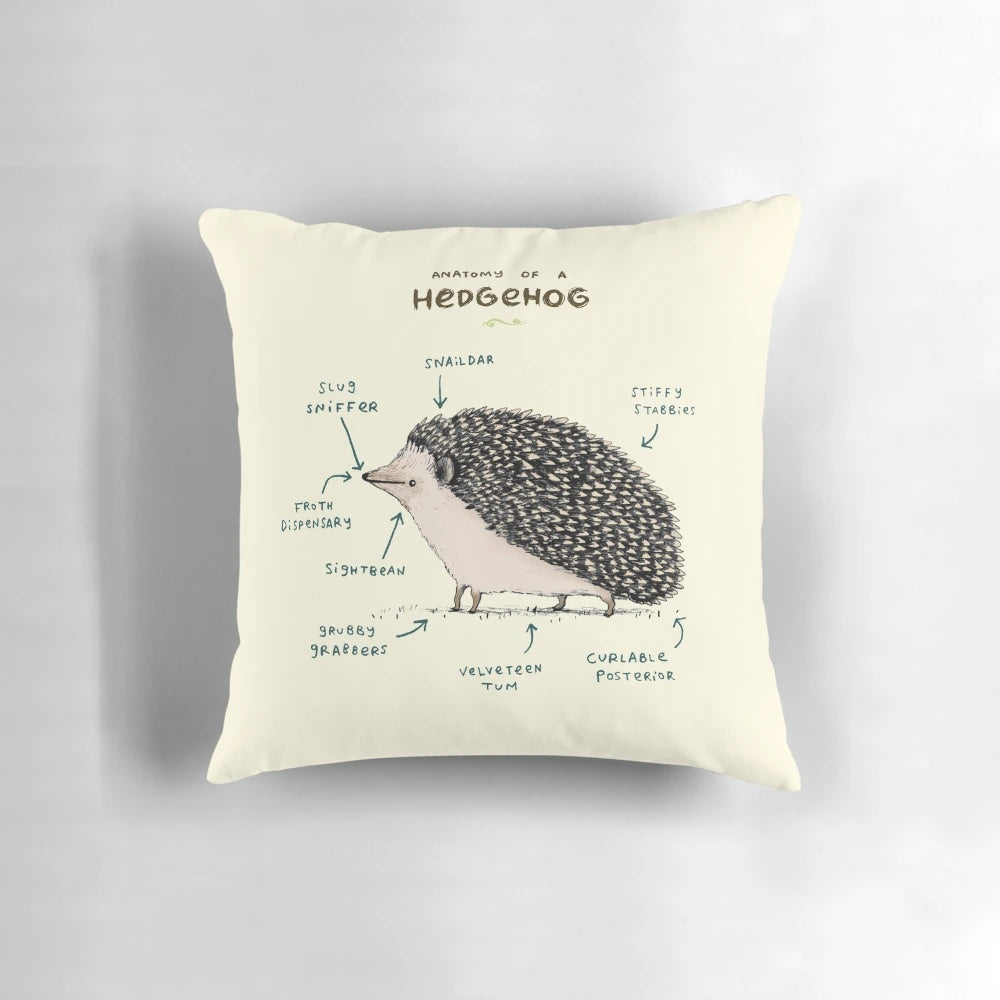 Soft, plush pillow featuring the detailed anatomy of a hedgehog in a fun, playful design.