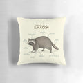 Detailed illustration of a raccoon's anatomy on a plush, soft pillow