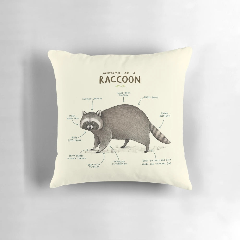 Detailed illustration of a raccoon's anatomy on a plush, soft pillow