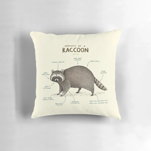 Detailed illustration of a raccoon's anatomy on a plush, soft pillow