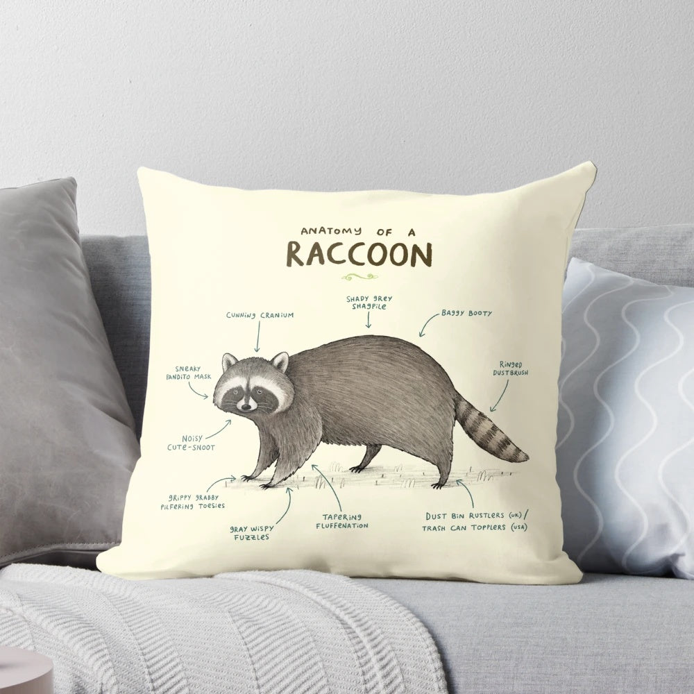 Detailed illustration of a raccoon's anatomy on a plush, soft pillow