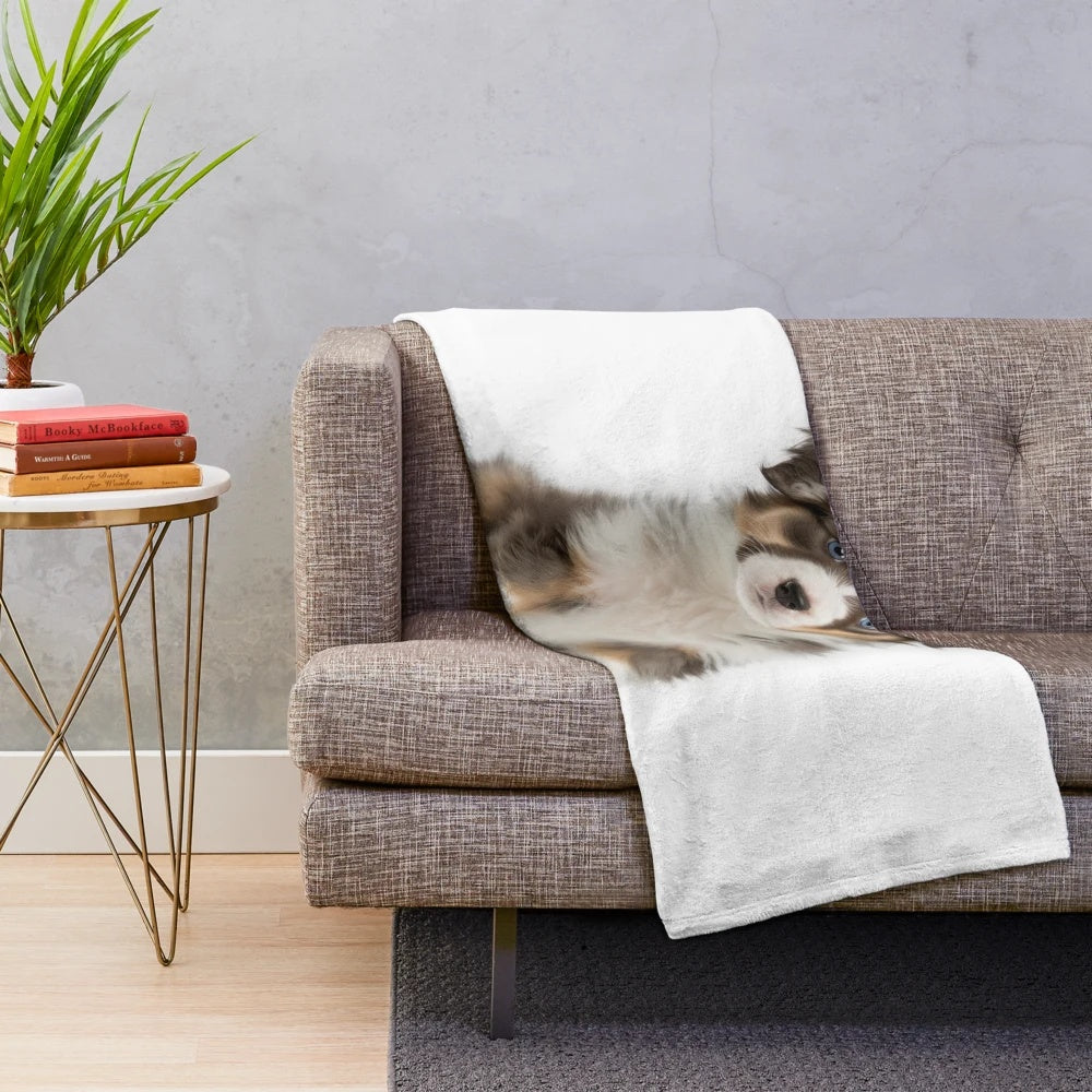 Adorable Australian Shepherd puppy plush blanket