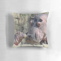 Soft, plush pillow featuring baby hippos Fritz and Tucker from the Cincinnati Zoo