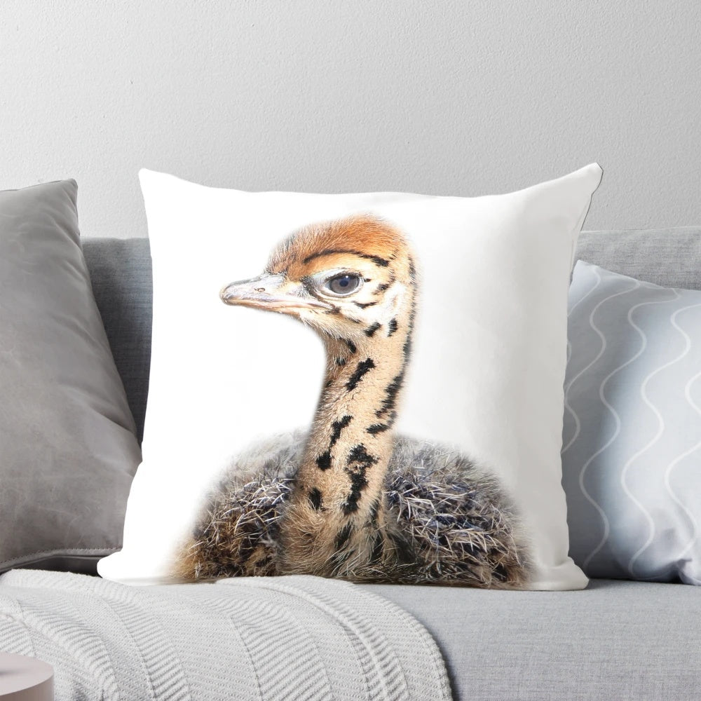 Charming baby ostrich animal art print, perfect for a safari-themed nursery or child's bedroom