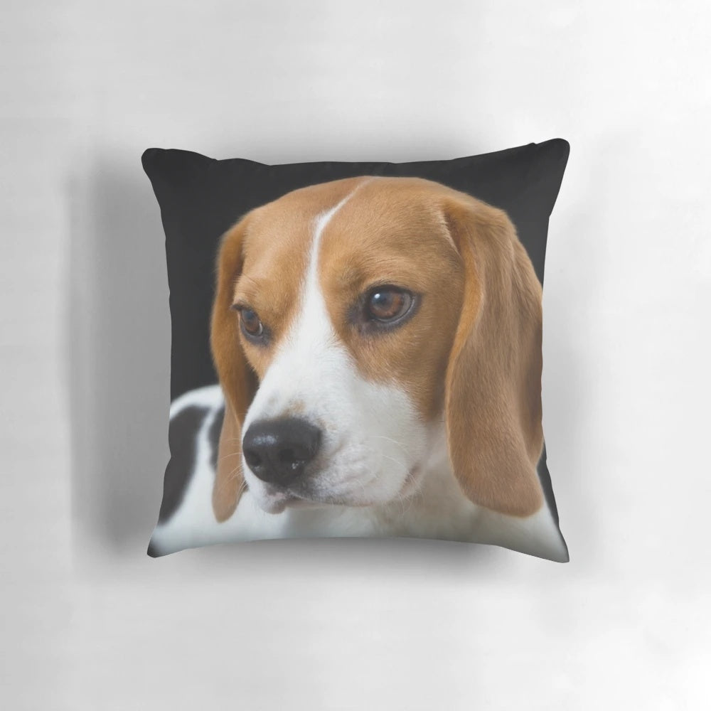 Adorable tricolor beagle dog relaxing on a black pillow, looking directly at the camera.
