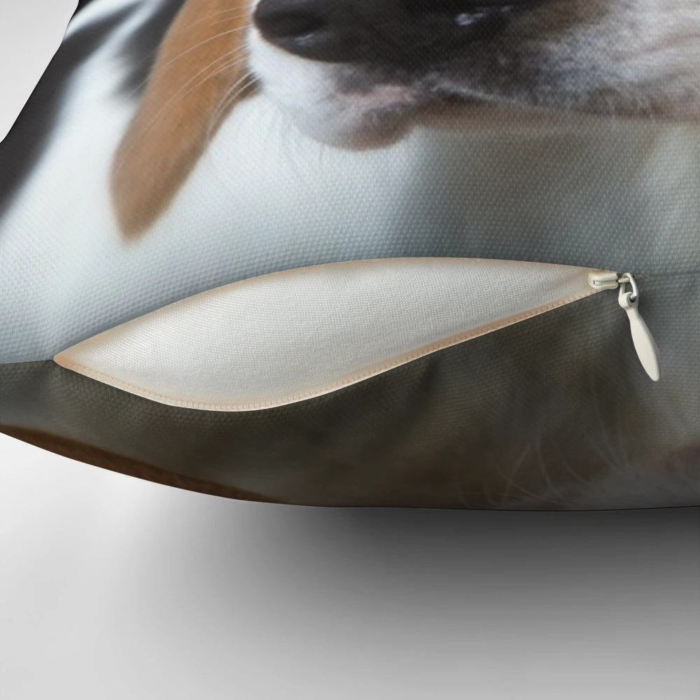 Adorable tricolor beagle dog relaxing on a black pillow, looking directly at the camera.