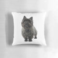 A cozy black cairn terrier dog pillow for dog owners and lovers