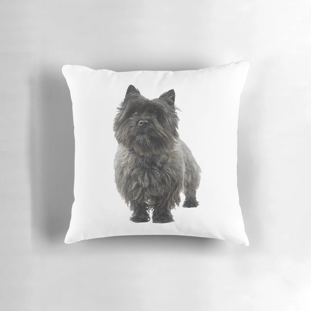 A cozy black cairn terrier dog pillow for dog owners and lovers