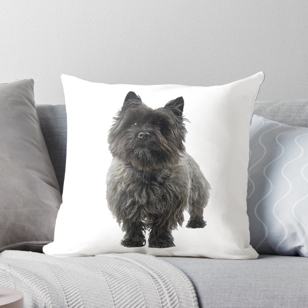 A cozy black cairn terrier dog pillow for dog owners and lovers
