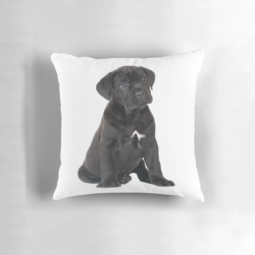 Soft, plush Cane Corso puppy pillow with realistic black fur design