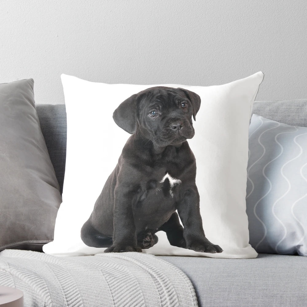 Soft, plush Cane Corso puppy pillow with realistic black fur design