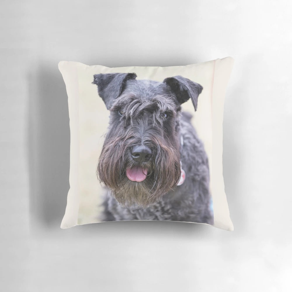 A soft, plush pillow featuring a close-up portrait of a cute black miniature schnauzer dog.