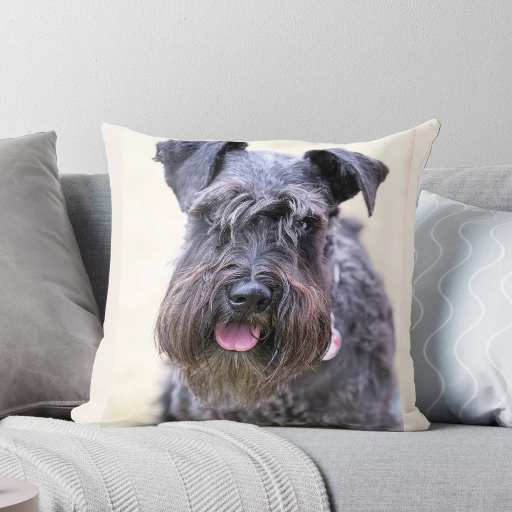 A soft, plush pillow featuring a close-up portrait of a cute black miniature schnauzer dog.
