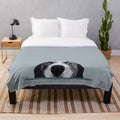 Cute border collie puppy peeking out from a cozy plush blanket