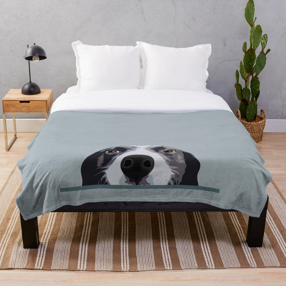 Cute border collie puppy peeking out from a cozy plush blanket