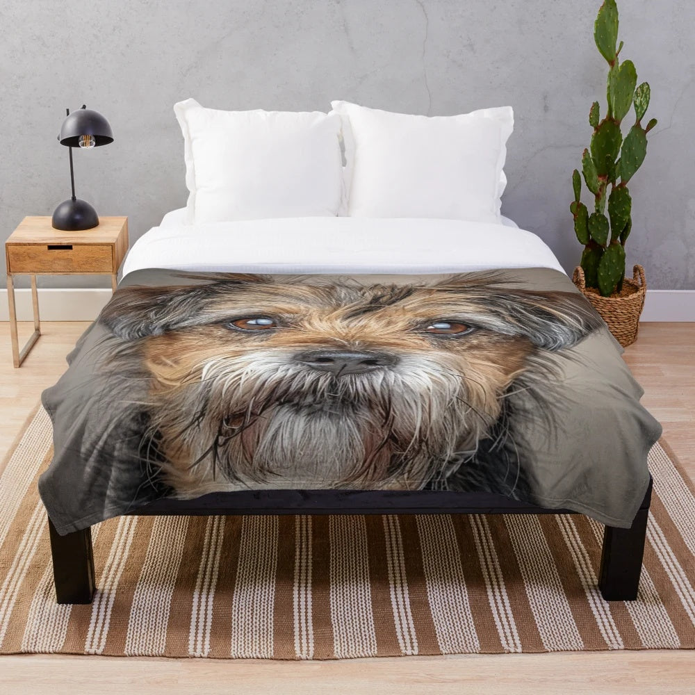 Soft and Cozy Border Terrier Plush Blanket