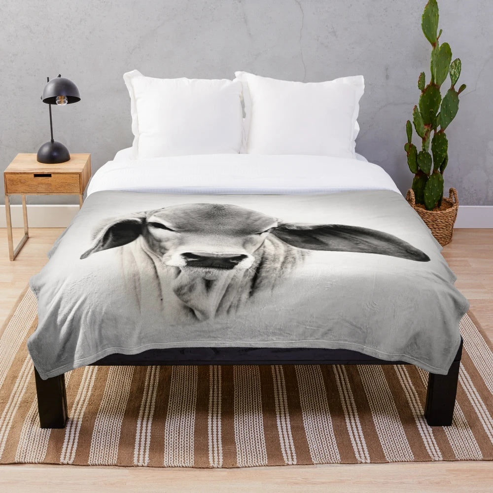 Brahman calf plush blanket with cute cow design