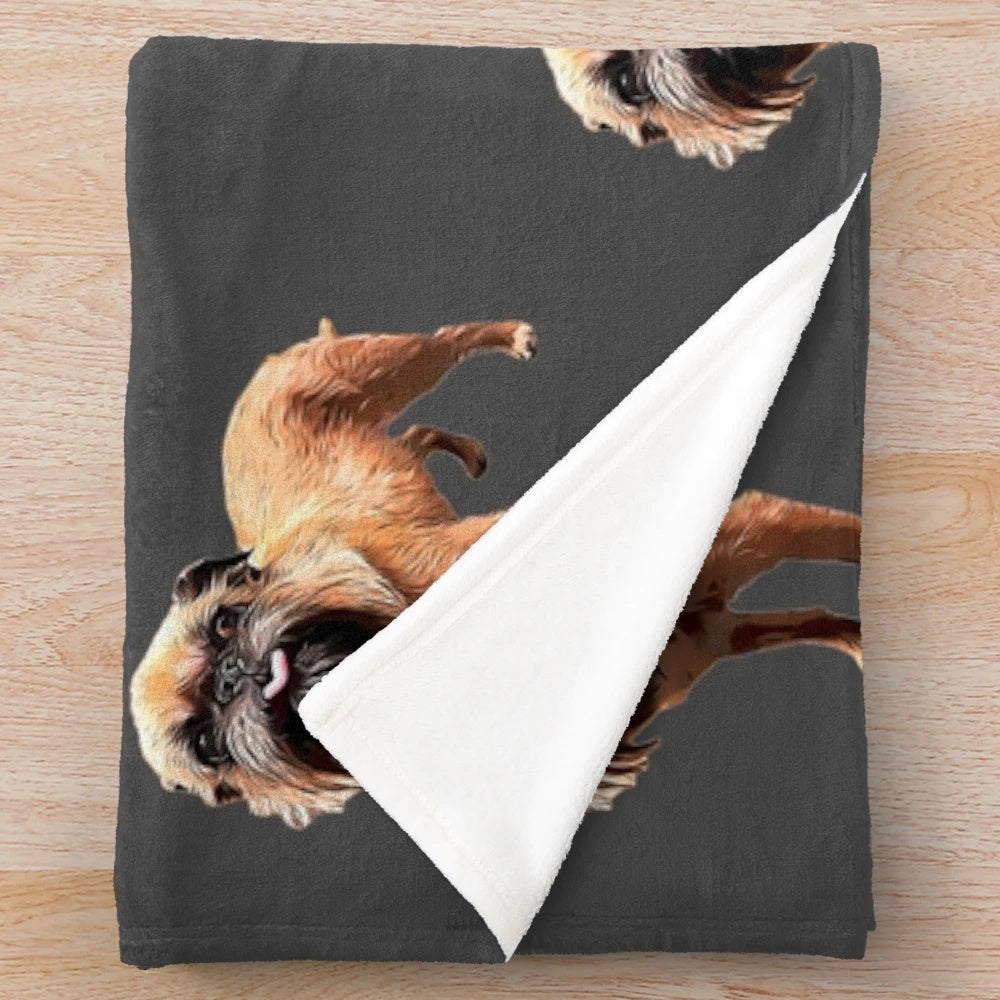 Cute brussels griffon dog illustration on a plush blanket