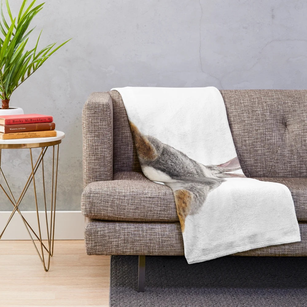 Cute bunny rabbit with tail and butt on plush blanket