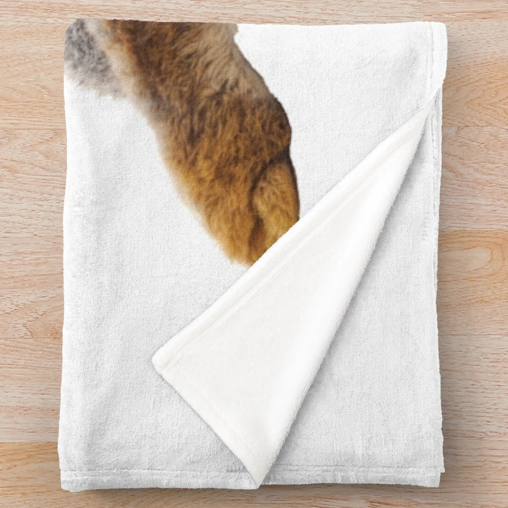 Cute bunny rabbit with tail and butt on plush blanket