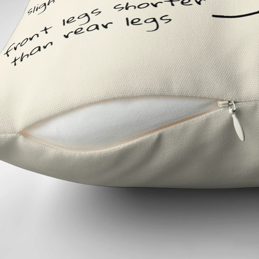 Soft and plush capybara-themed pillow with a cute cartoon design