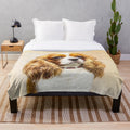 Cavalier King Charles Spaniel dog breed portrait on a plush blanket