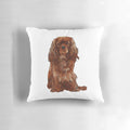 Soft, plush pillow featuring a cute and cuddly Cavalier King Charles Spaniel in a ruby color