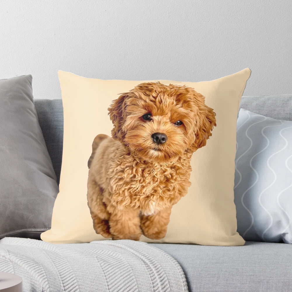 A plush, comfortable pillow featuring a cute cavapoo design