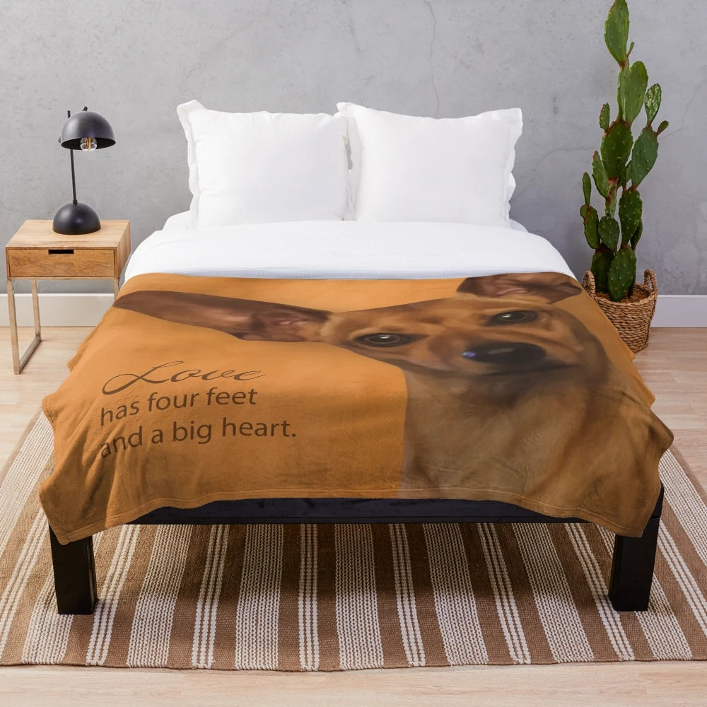 Chihuahua dachshund plush blanket with cute dog design