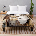 Cozy chihuahua plush blanket for pet owners
