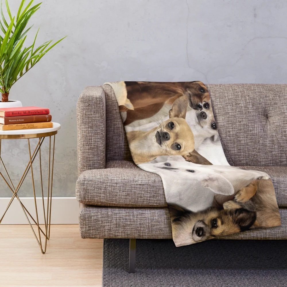 Cozy chihuahua plush blanket for pet owners