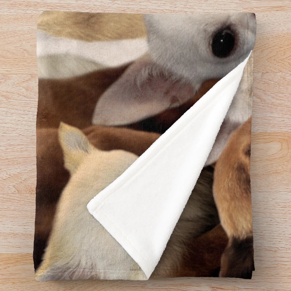 Cozy chihuahua plush blanket for pet owners