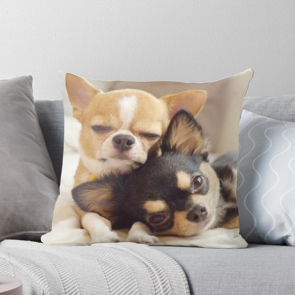 Two cute Chihuahua puppies in a photograph printed on a decorative pillow