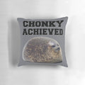 Soft and plush chunky seal pillow, perfect for cozy decor and snuggles.