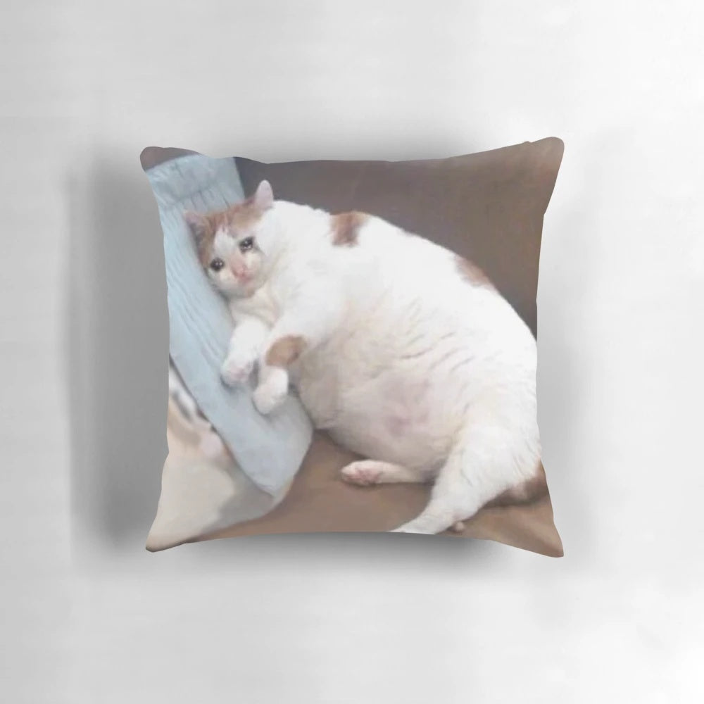 Crying fat cat plush pillow for cozy and comfy home decor