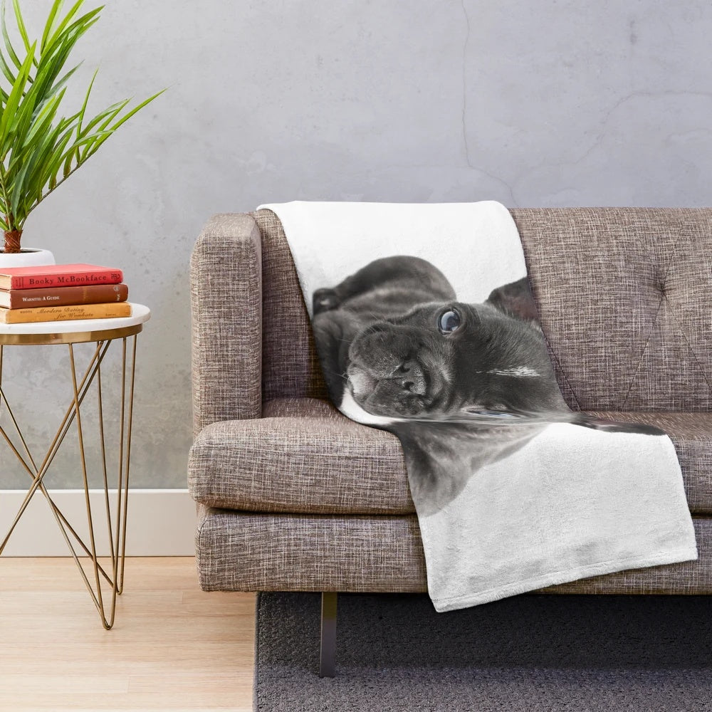 Soft and Cozy Plush Blanket Featuring a Cute French Bulldog Puppy Design